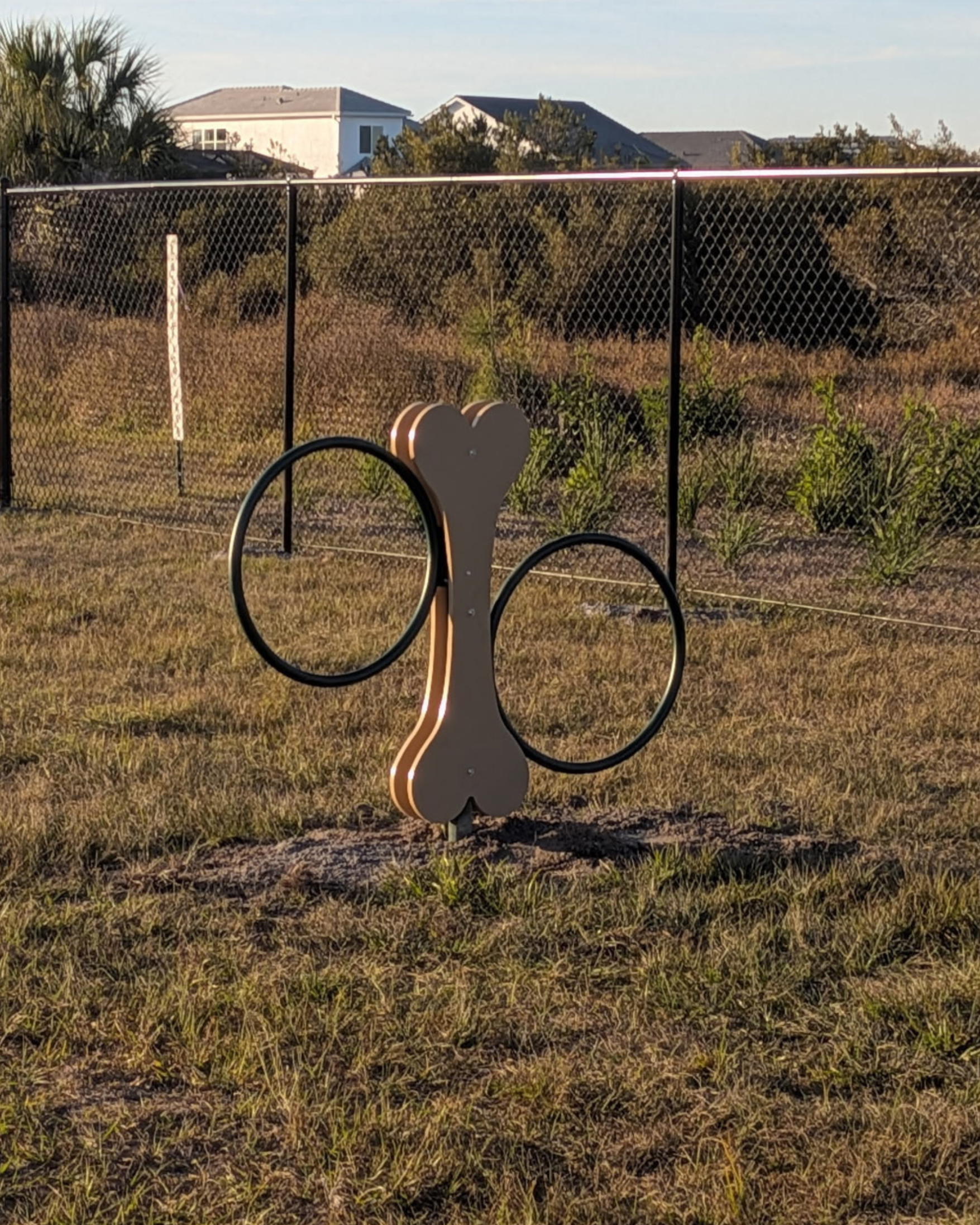 Hoop Jump