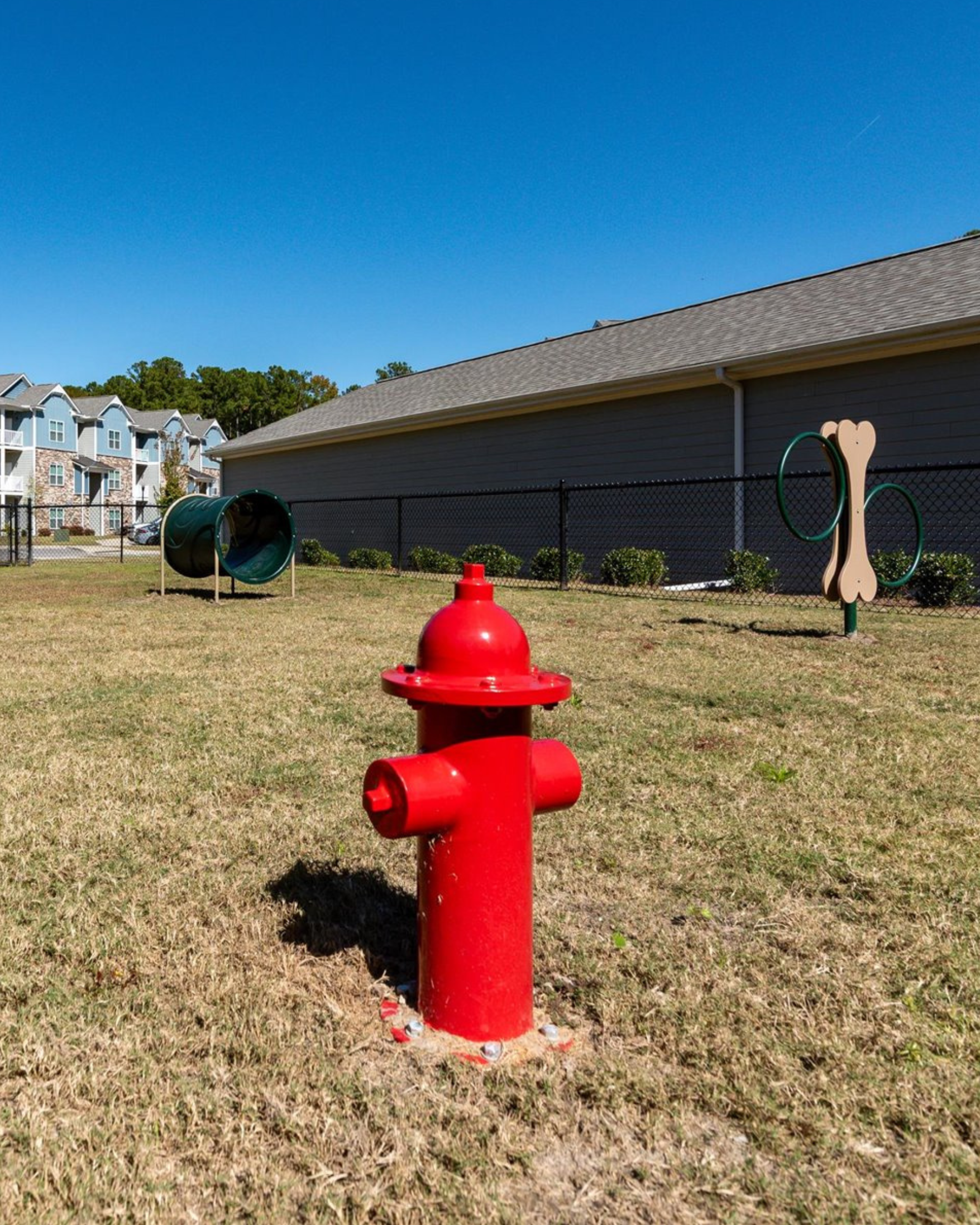 Dog Park Fire Hydrant
