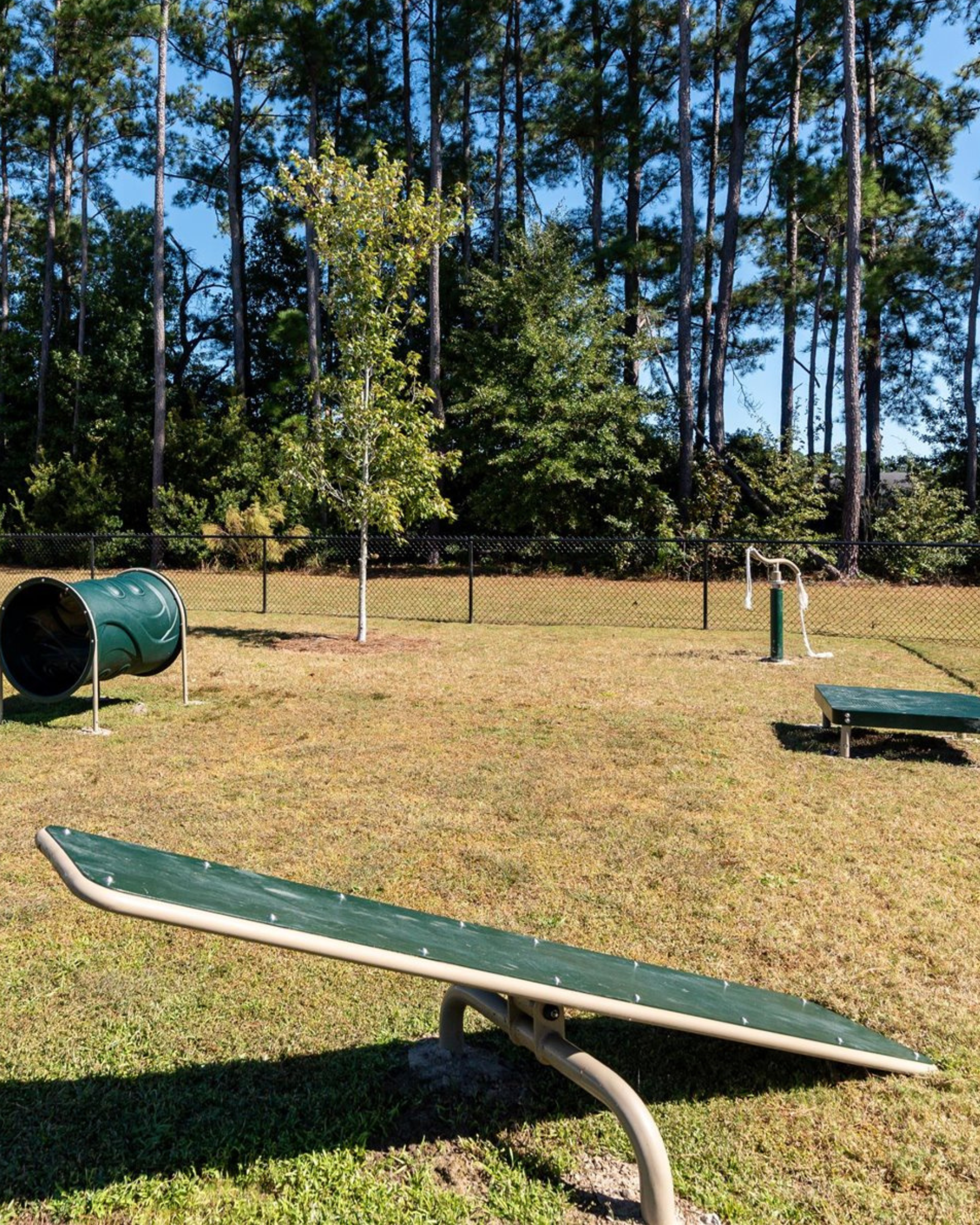 Dog Agility Seesaw