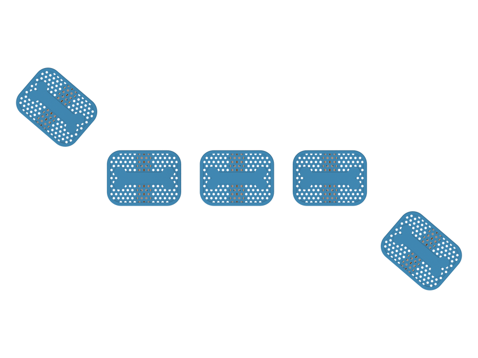 The Paw Prints – Dog Stepping Pads