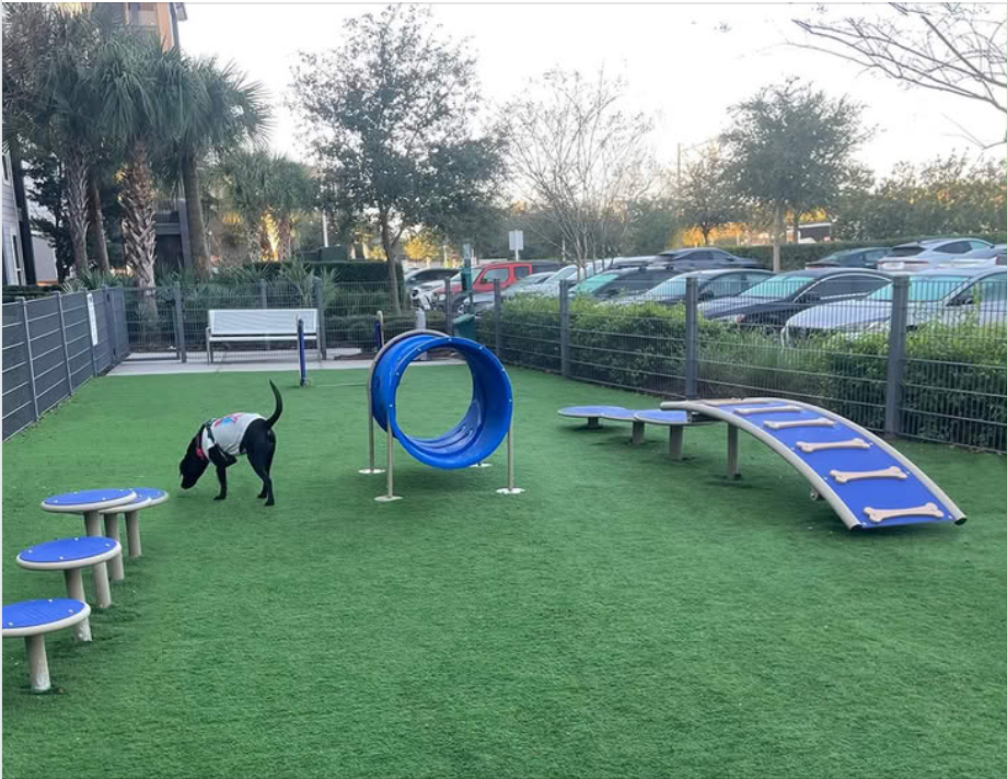 Dog Park Packages & Bundles – On Sale Now