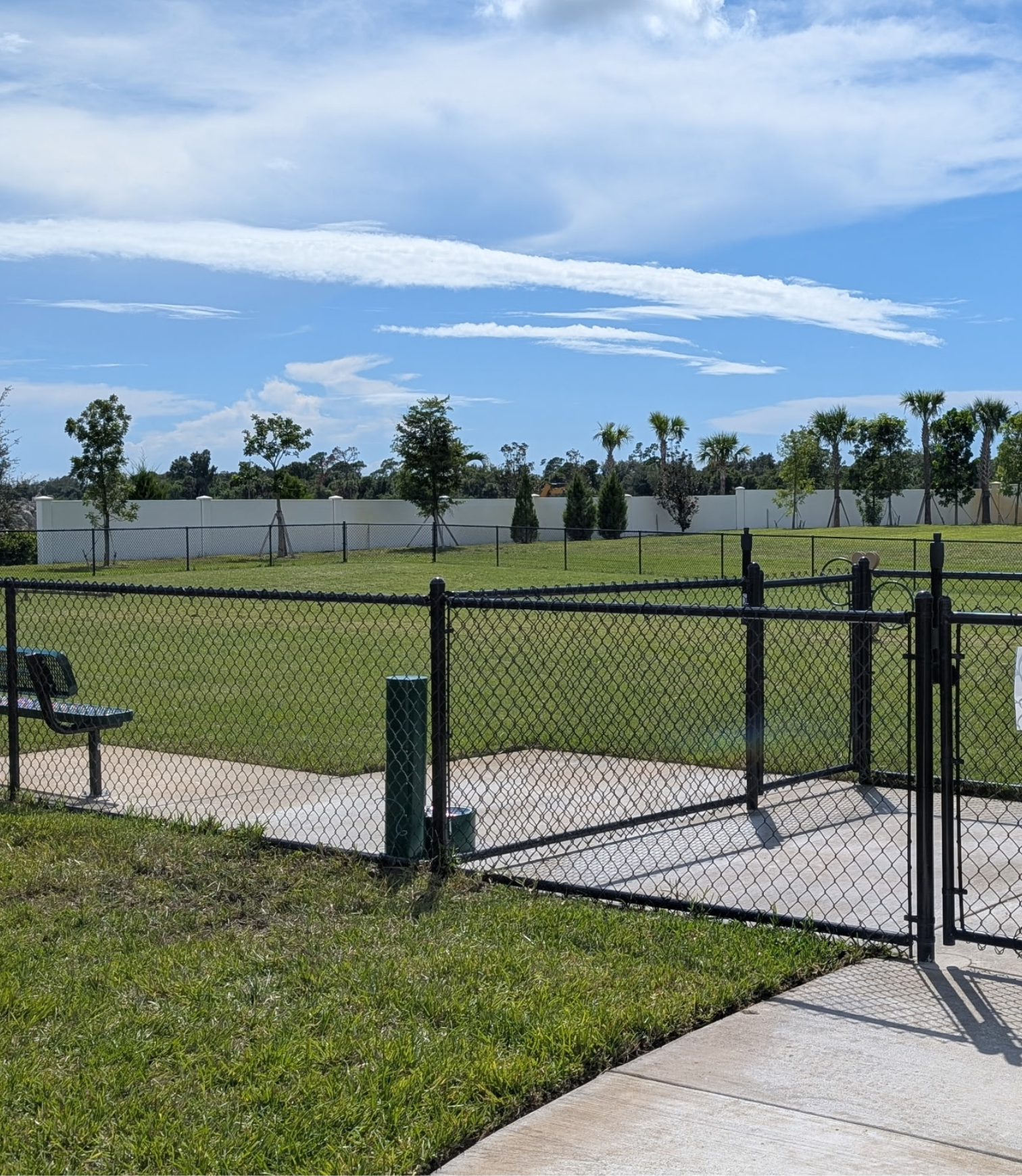 Chain-link fence with gate in a park setting under a blue sky.